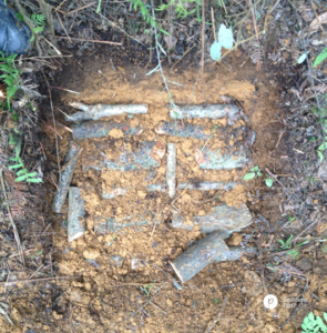 Planting Tianma 1 