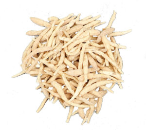 Polygala Tenuifolia Root