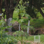 Developed Using Darktable 2.6.1