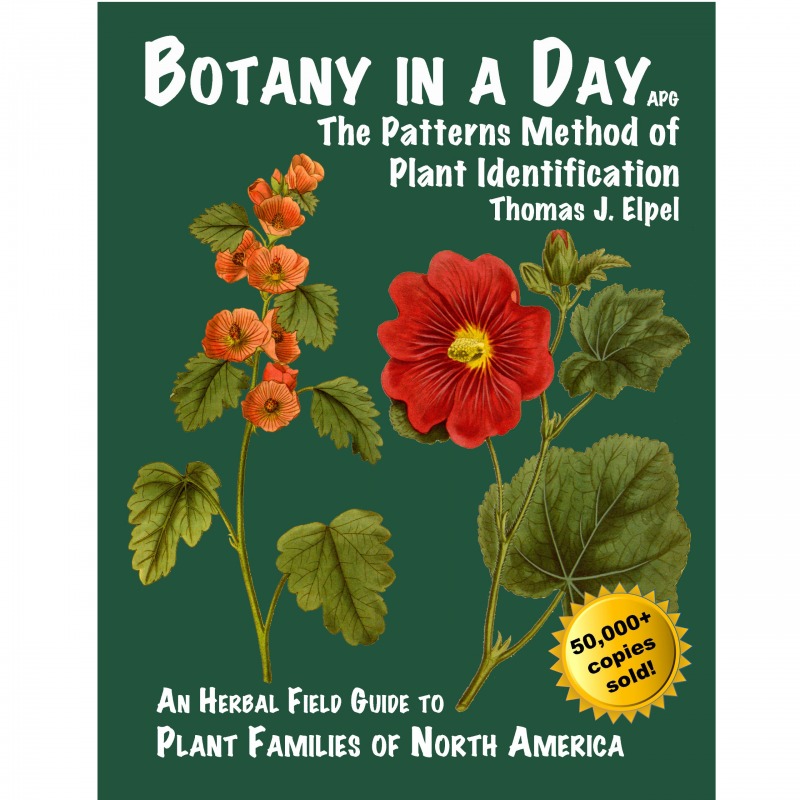 botany