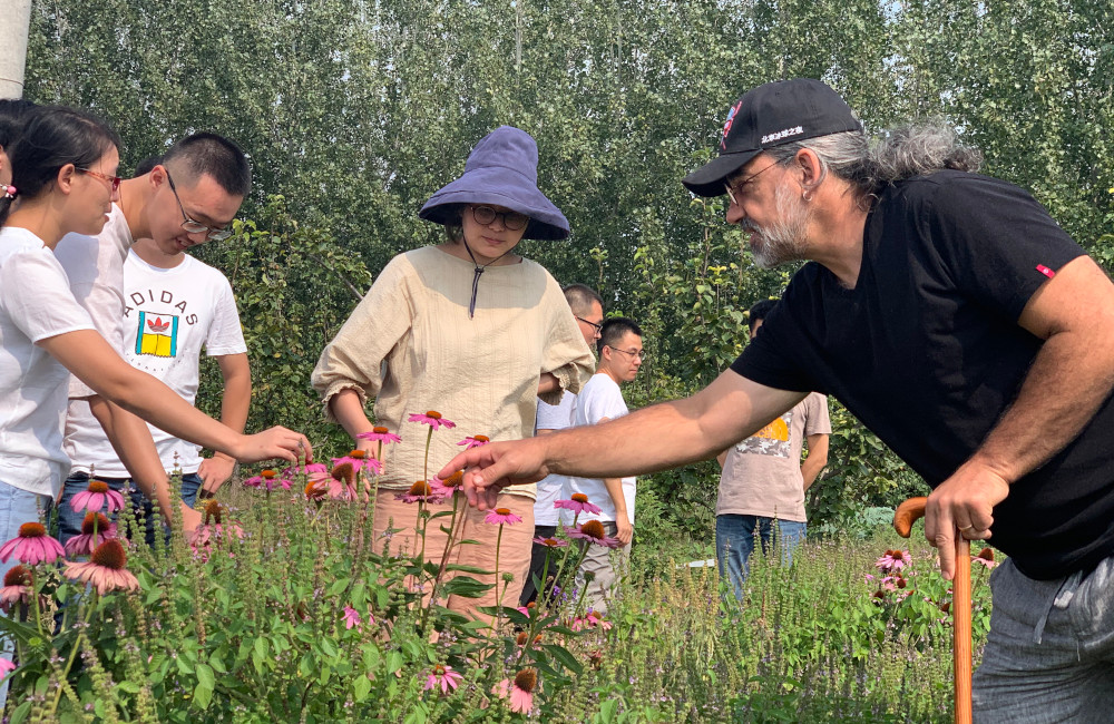 Thomas Avery Garran; echinacea; mentoring; apprenticeship; Chinese medicine; herbal consultation