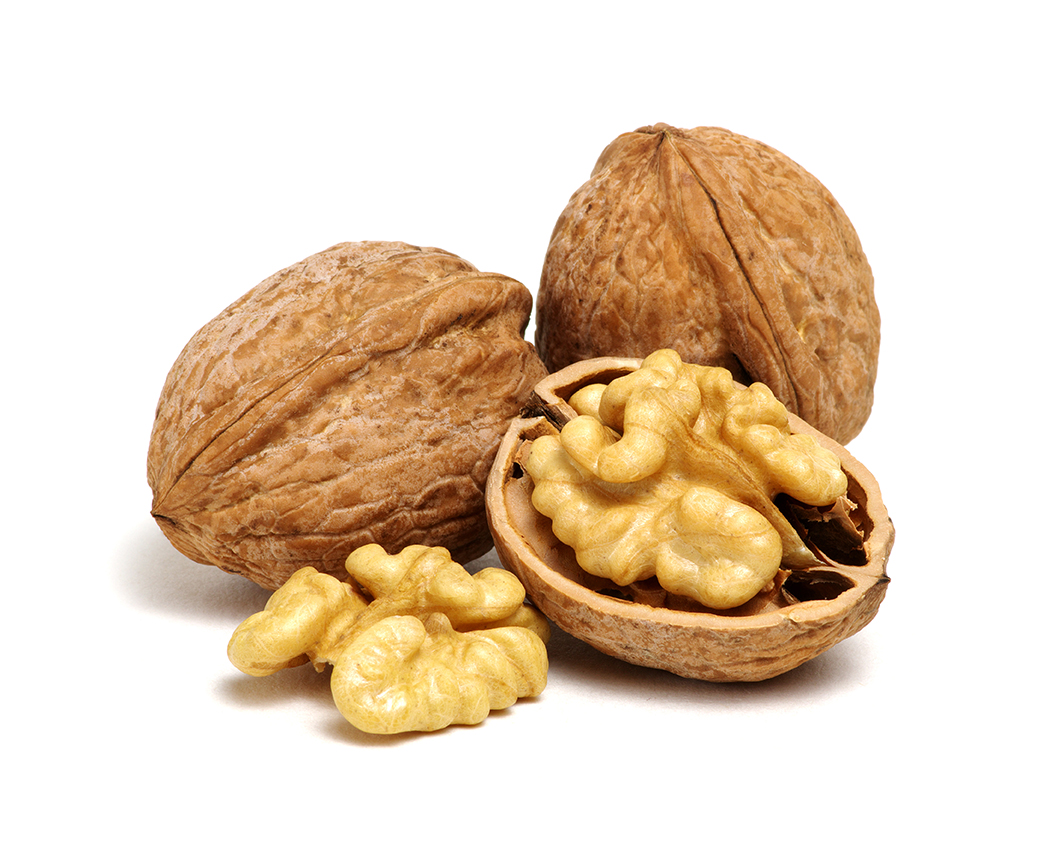 walnut