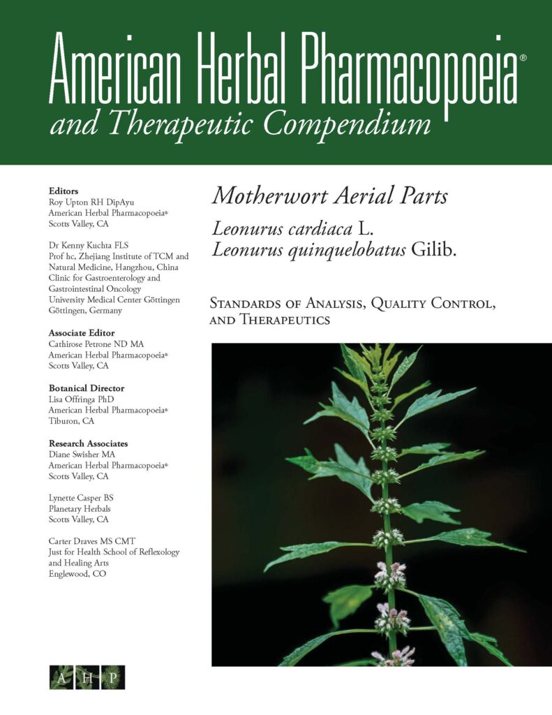 motherwort; Leonurus;